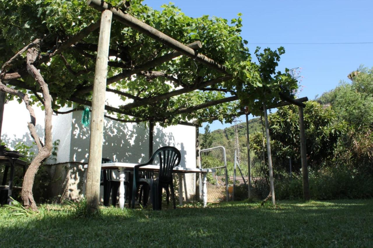 Villa Casa La Maceta Cádiz Exterior foto